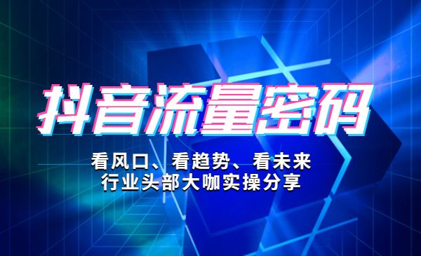 某音流量密码：打造爆款赚钱账号，年入千万的秘密分享采金-财源-网创-创业项目-兼职-赚钱-个人创业-中创网-福缘网-冒泡网采金cai.gold