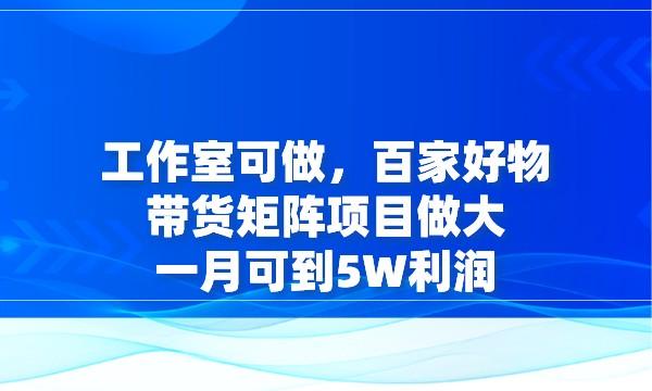 工作室可做，百家好物带货矩阵项目做大一月可到5W利润采金-游戏-网盘-资源采金cai.gold