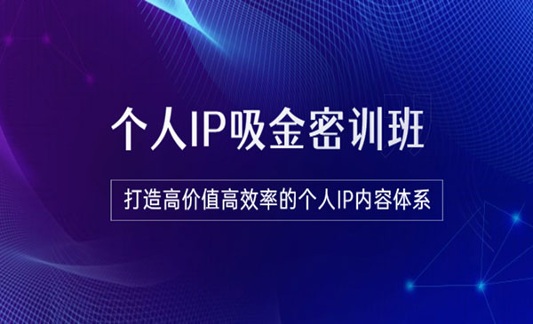 《个人IP吸金密训班》打造高价值高效率的个人IP内容体系（价值12800元）采金-游戏-网盘-资源采金cai.gold