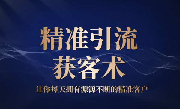 精准引liu获客术 让你每天拥有源源不断的精准客户采金-游戏-网盘-资源采金cai.gold