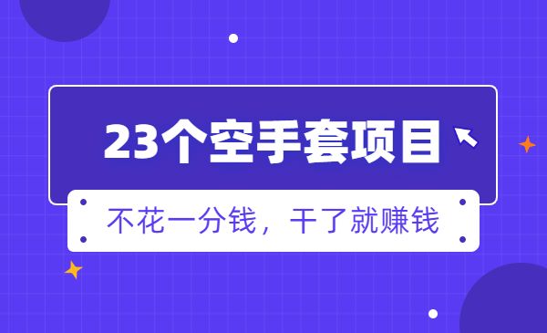 23个空手套项目大合集，纯空手套生意经采金-游戏-网盘-资源采金cai.gold