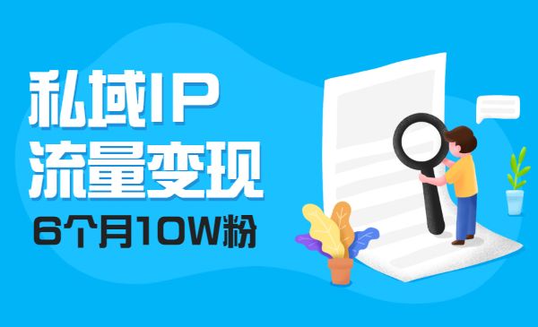 私域IP流量变现视频课，6个月10W粉采金-游戏-网盘-资源采金cai.gold