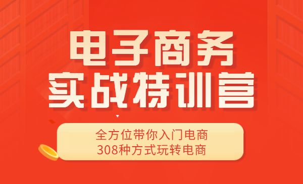 电子商务实战特训营，全方位带你入门电商，308种方式玩转电商采金-游戏-网盘-资源采金cai.gold