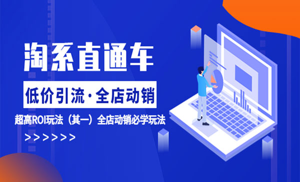 《淘系直通车低价引流全店动销超高ROI玩法》采金-游戏-网盘-资源采金cai.gold