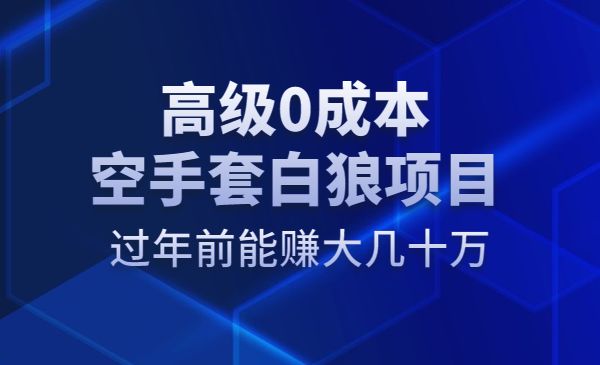 高级0成本空手套白狼项目，过年前能赚大几十万采金-游戏-网盘-资源采金cai.gold