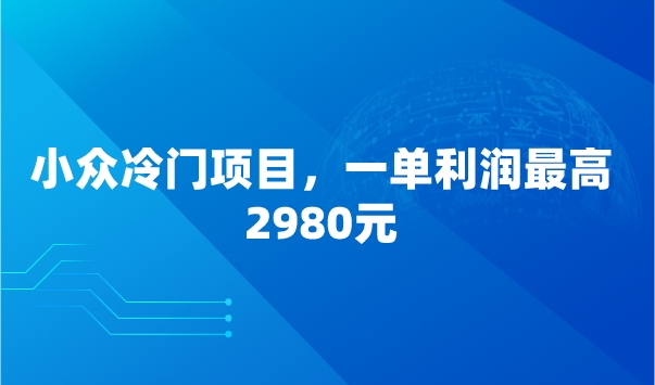 小众冷门项目，一单利润最高2980元采金-游戏-网盘-资源采金cai.gold