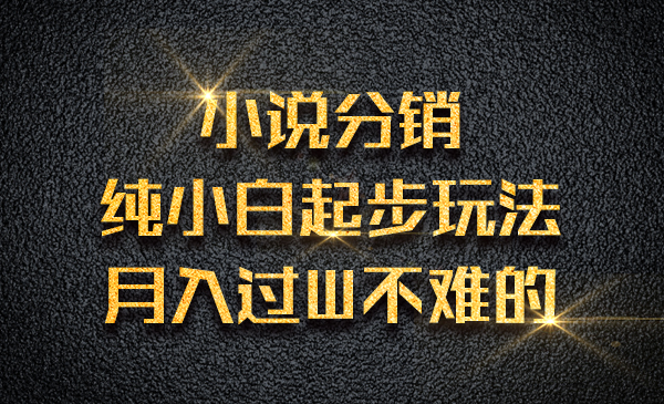 小说分销纯小白起步玩法，月入过W不难的采金-游戏-网盘-资源采金cai.gold