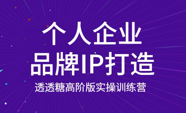 高阶版实操训练营‬ 个人企业品‬牌IP打造采金-游戏-网盘-资源采金cai.gold
