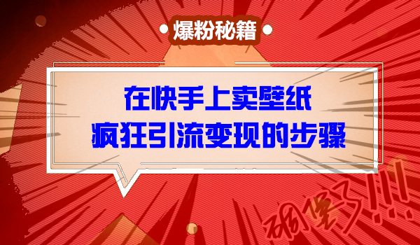 实操项目，他换平台另类操作壁纸号，疯狂引粉变现！采金-游戏-网盘-资源采金cai.gold