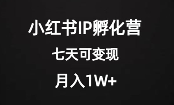 《小红书IP孵化营项目》超级大蓝海，七天即可开始变现，稳定月入1W+采金-游戏-网盘-资源采金cai.gold