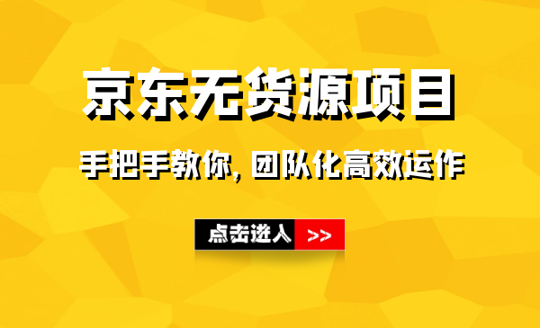 手把手教你做京东无货源项目，团队化运营采金-游戏-网盘-资源采金cai.gold
