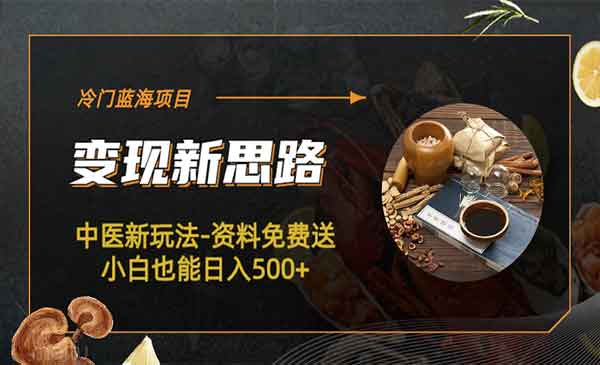 《中医冷门蓝海项目》资料免费送小白也能日入500+采金-游戏-网盘-资源采金cai.gold