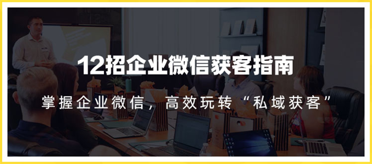 12招企业微信获客指南：链接11亿微信用户，提前把握企业新机遇采金-游戏-网盘-资源采金cai.gold