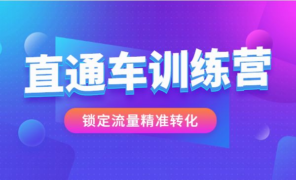 直通车训练营，锁定流量精准转化采金-游戏-网盘-资源采金cai.gold