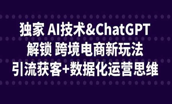 《AI跨境电商新玩法》引流获客+数据化运营思维采金-游戏-网盘-资源采金cai.gold
