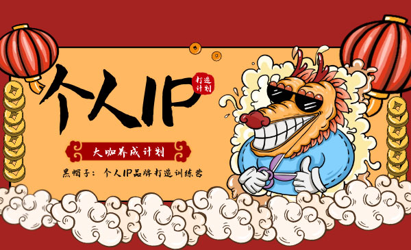 个人IP品牌打造训练营，大咖养成计划采金-游戏-网盘-资源采金cai.gold