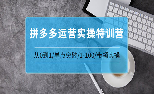 拼多多运营实操特训营：从0到1/单点突破/1-100/带领实操 价值2980元采金-游戏-网盘-资源采金cai.gold