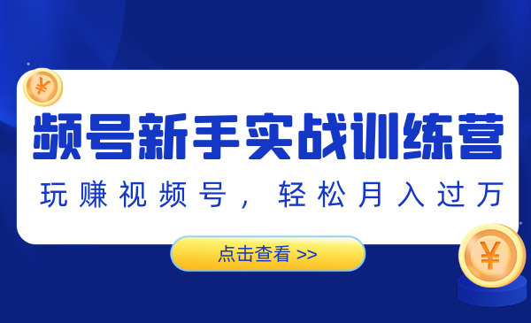 视频号新手实战训练营，玩赚视频号，轻松月入过万采金-游戏-网盘-资源采金cai.gold