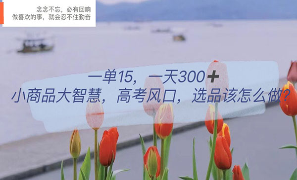 《高考风口项目》一单15，一天300+，小商品大智慧采金-游戏-网盘-资源采金cai.gold