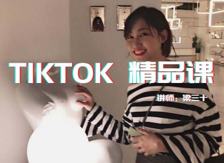 Tiktok精品实操课,单账号最高成绩210w粉丝，单条视频最高300w点赞采金-游戏-网盘-资源采金cai.gold
