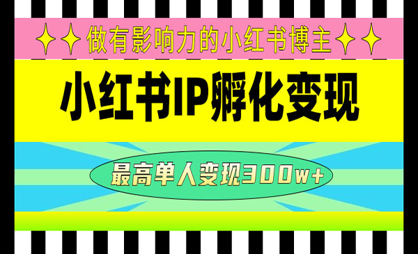 《小红书IP孵化变现》做有影响力的小红书博主，最高单人变现300w+采金-游戏-网盘-资源采金cai.gold