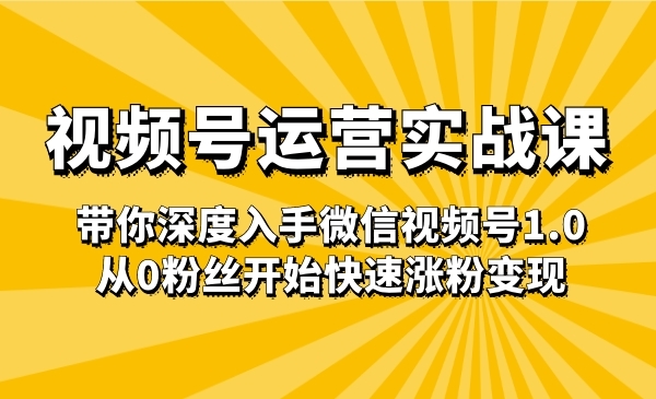 视频号运营实战课，带你深度入手微信视频号1.0，从0粉丝开始快速张fen变现采金-游戏-网盘-资源采金cai.gold