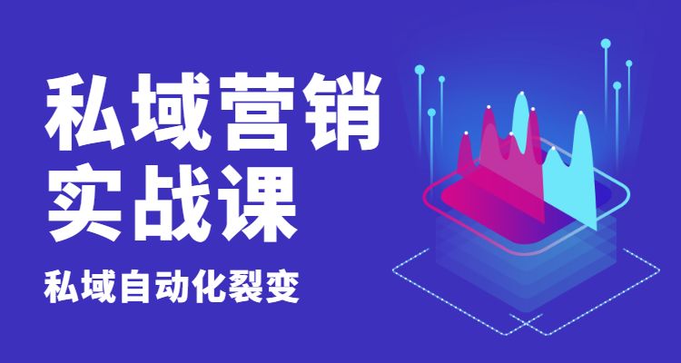 私域流量营销实战课采金-游戏-网盘-资源采金cai.gold