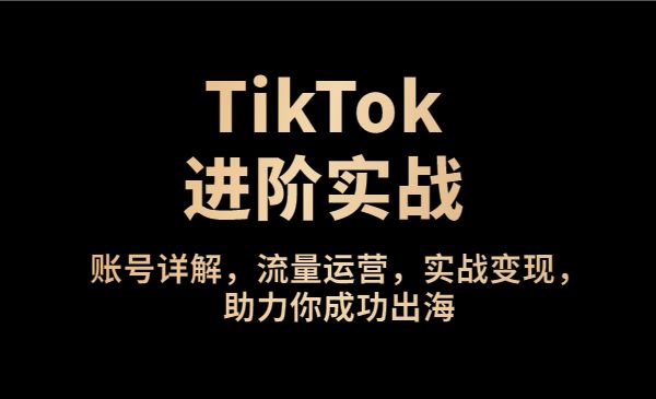 TikTok进阶实战课：账号详解，流量运营，实战变现，助力你成功出海采金-游戏-网盘-资源采金cai.gold