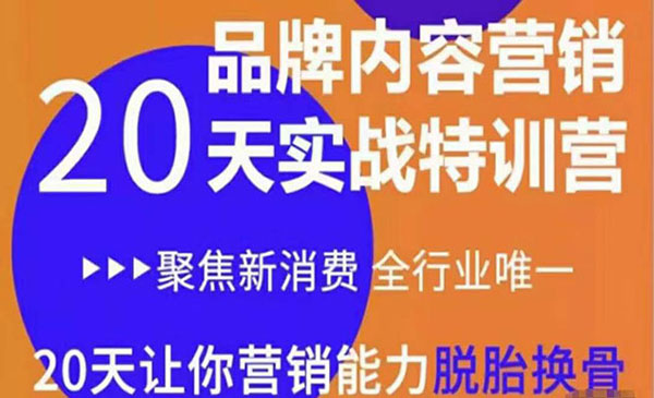 《内容营销实操特训营》20天让你营销能力脱胎换骨（价值3999）采金-游戏-网盘-资源采金cai.gold