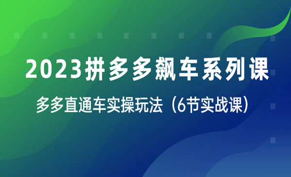 《拼多多飙车系列课》多多直通车实操玩法采金-游戏-网盘-资源采金cai.gold