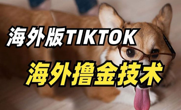 《Tiktok撸金技术》采金-财源-网创-创业项目-兼职-赚钱-个人创业-中创网-福缘网-冒泡网采金cai.gold