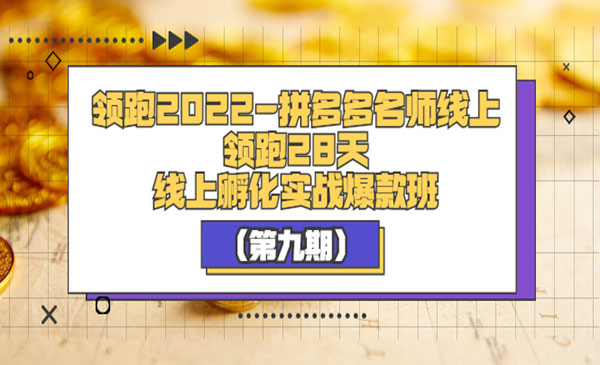 拼多多名师线上领跑28天，线上孵化实战爆款班（第九期）采金-游戏-网盘-资源采金cai.gold