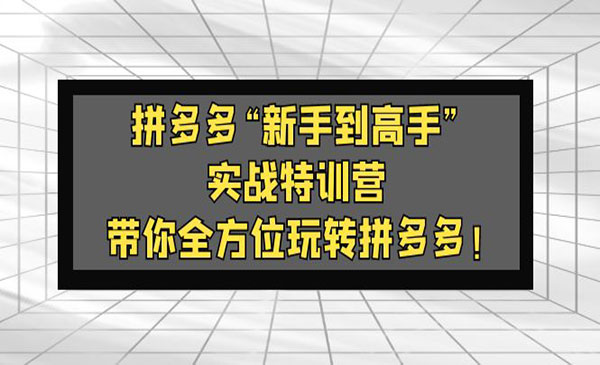 《拼多多新手到高手实战特训营》带你全方位玩转拼多多采金-游戏-网盘-资源采金cai.gold