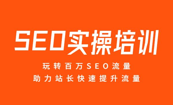 SEO实操培训：玩转百万SEO流量，助力站长快速提升流量采金-游戏-网盘-资源采金cai.gold