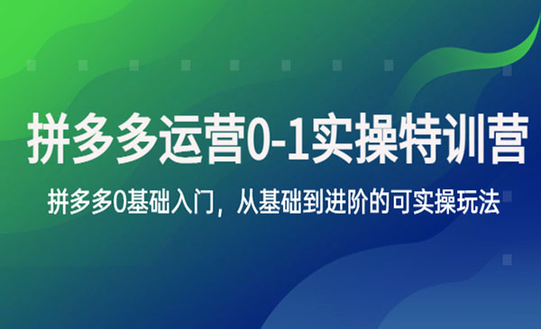《拼多多0-1实操训练营》拼多多0基础入门，从基础到进阶的可实操玩法采金-游戏-网盘-资源采金cai.gold