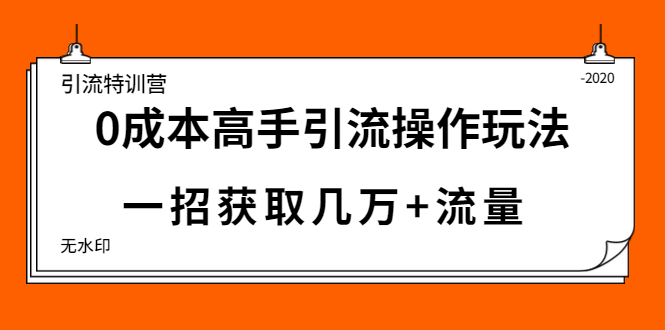 引liu特训营：0成本高手引liu操作玩法，一招获取几万+流量采金-游戏-网盘-资源采金cai.gold