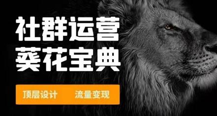 赚钱社群系统运营葵花宝典 顶层设计 流量变现采金-游戏-网盘-资源采金cai.gold