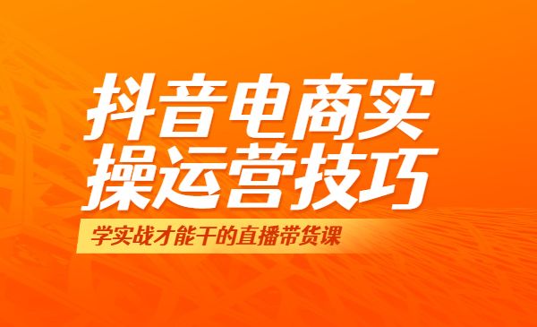 2抖音电商实操运营技巧：学实战才能干的直播带货课采金-游戏-网盘-资源采金cai.gold