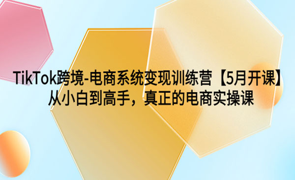 《TikTok跨境电商系统变现训练营》从小白到高手，真正的电商实操课采金-游戏-网盘-资源采金cai.gold
