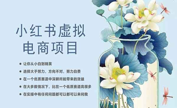 《小红书虚拟电商从0到1》让你从小白到精英采金-游戏-网盘-资源采金cai.gold