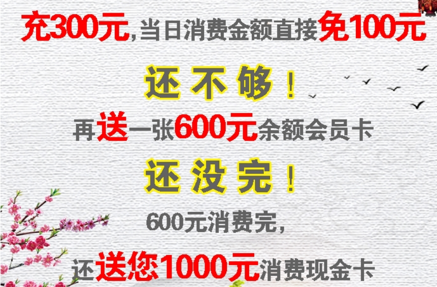 【经典案例】充300元得300送300再返1000元现金采金-游戏-网盘-资源采金cai.gold