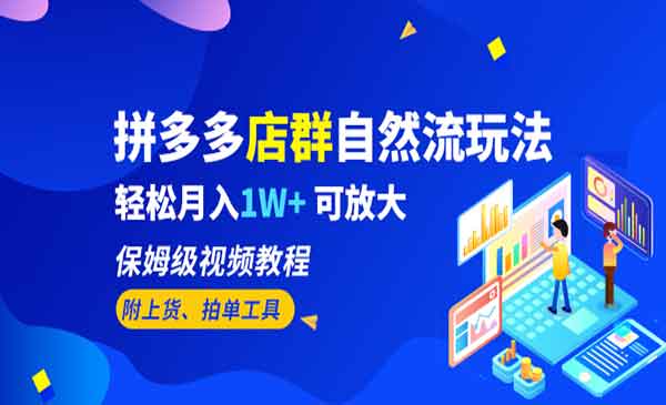 《拼多多店群自然流玩法》轻松月入1W+ 保姆级视频教程采金-游戏-网盘-资源采金cai.gold