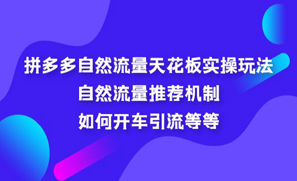 《拼多多自然流量天花板实操玩法》自然流量推荐机制，如何开车引流等等采金-游戏-网盘-资源采金cai.gold