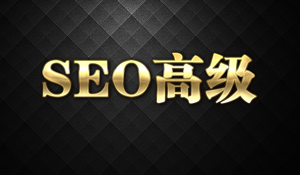 《SEO高级课程》采金-财源-网创-创业项目-兼职-赚钱-个人创业-中创网-福缘网-冒泡网采金cai.gold