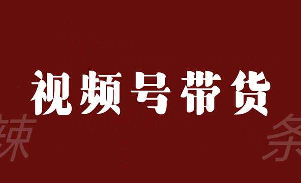 《视频号带货信息差变现》采金-游戏-网盘-资源采金cai.gold