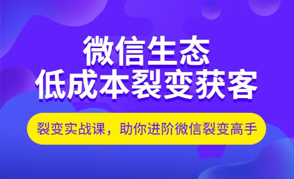 微信生态如何低成本裂变获客：25节裂变实战课，助你进阶微信裂变高手采金-游戏-网盘-资源采金cai.gold